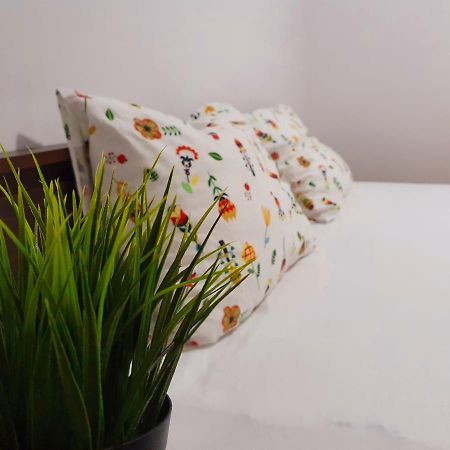 Pensiunea Casa Blanca Суліна Екстер'єр фото